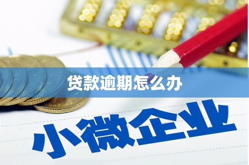 安多贷款逾期怎么办