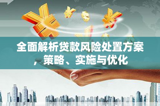 安多全面解析贷款风险处置方案，策略、实施与优化