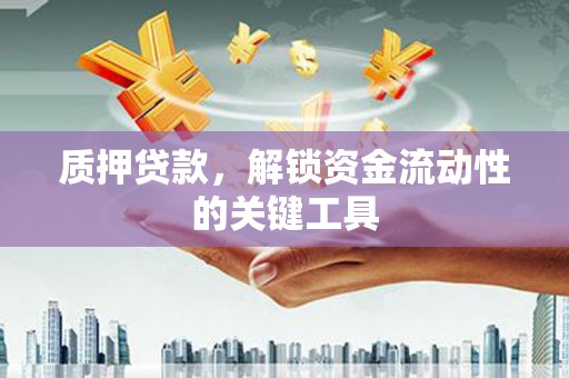 安多质押贷款，解锁资金流动性的关键工具