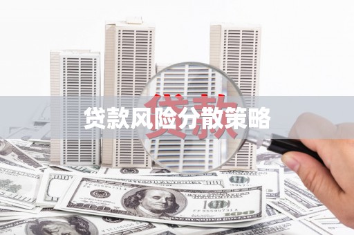 安多贷款风险分散策略