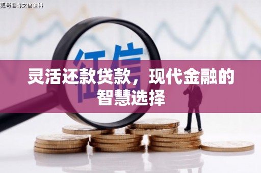 安多灵活还款贷款，现代金融的智慧选择