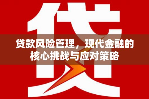 安多贷款风险管理，现代金融的核心挑战与应对策略