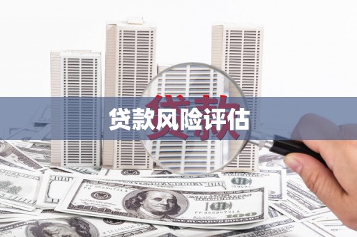 安多贷款风险评估