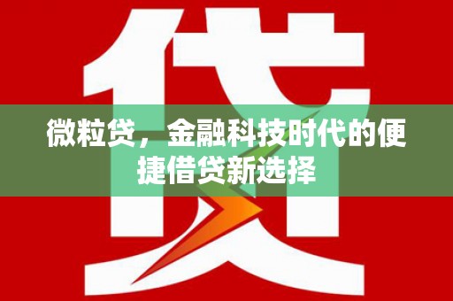 安多微粒贷，金融科技时代的便捷借贷新选择