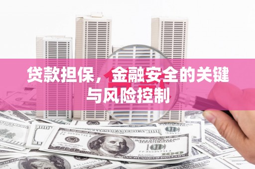安多贷款担保，金融安全的关键与风险控制