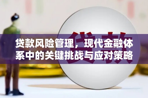 安多贷款风险管理，现代金融体系中的关键挑战与应对策略
