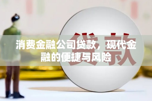 安多消费金融公司贷款，现代金融的便捷与风险
