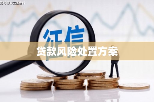 安多贷款风险处置方案