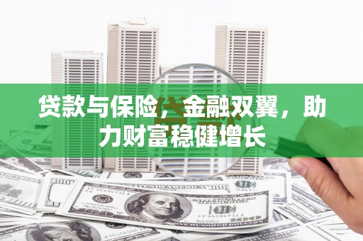 安多贷款与保险，金融双翼，助力财富稳健增长